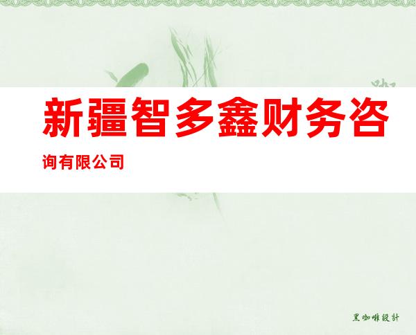 新疆智多鑫财务咨询有限公司