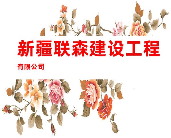 新疆联森建设工程有限公司