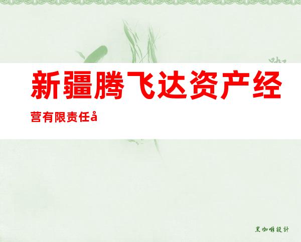 新疆腾飞达资产经营有限责任公司
