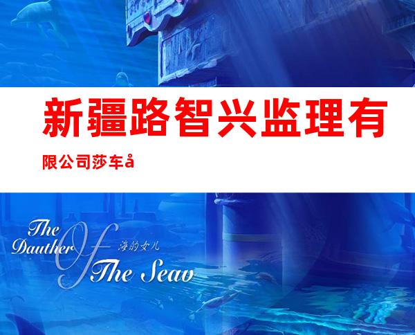 新疆路智兴监理有限公司莎车分公司