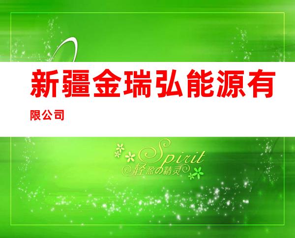 新疆金瑞弘能源有限公司