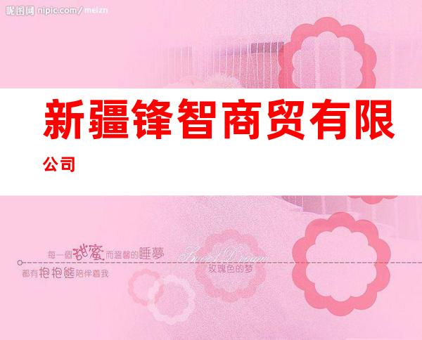 新疆锋智商贸有限公司