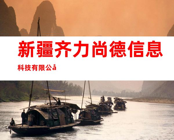 新疆齐力尚德信息科技有限公司