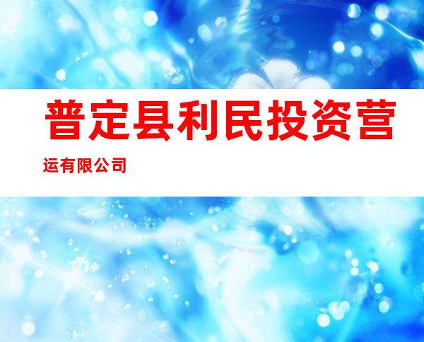 普定县利民投资营运有限公司