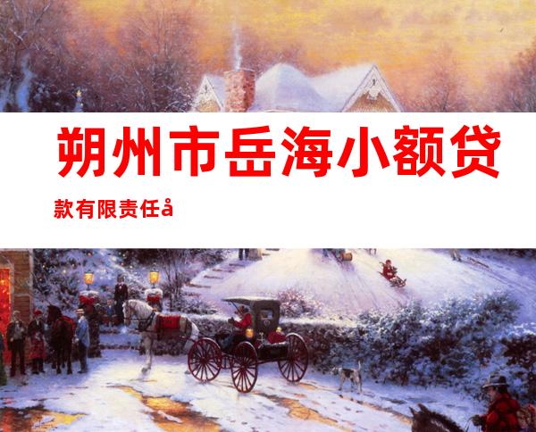 朔州市岳海小额贷款有限责任公司