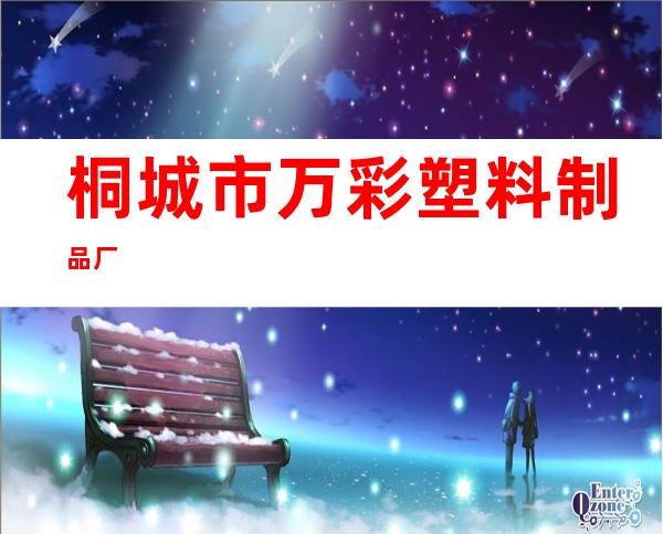 桐城市万彩塑料制品厂