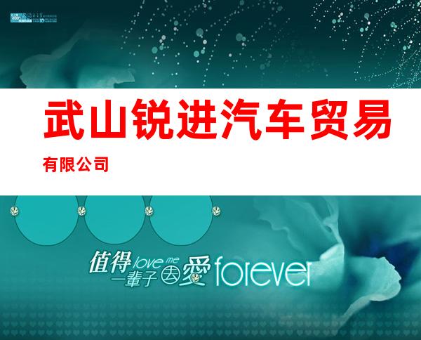 武山锐进汽车贸易有限公司