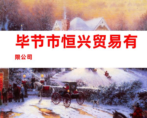 毕节市恒兴贸易有限公司