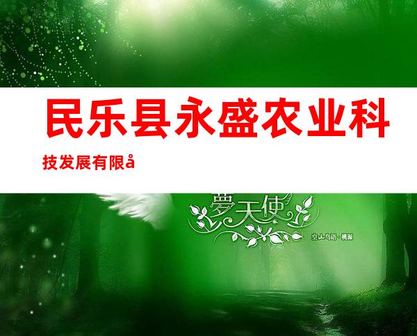 民乐县永盛农业科技发展有限公司