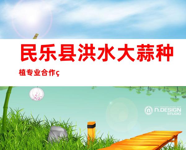 民乐县洪水大蒜种植专业合作社