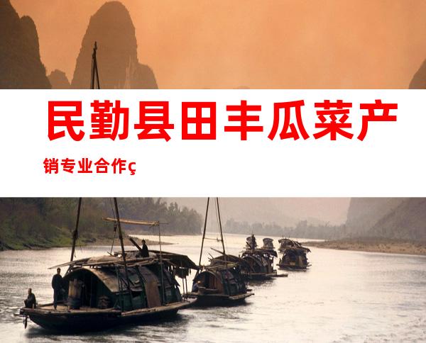 民勤县田丰瓜菜产销专业合作社