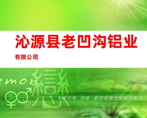 沁源县老凹沟铝业有限公司