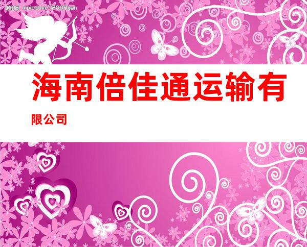 海南倍佳通运输有限公司