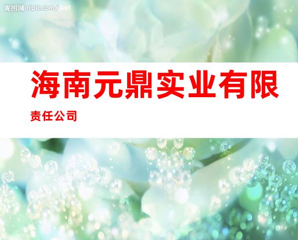 海南元鼎实业有限责任公司