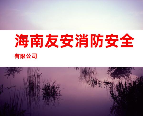 海南友安消防安全有限公司