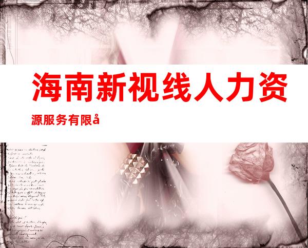 海南新视线人力资源服务有限公司万宁分公司