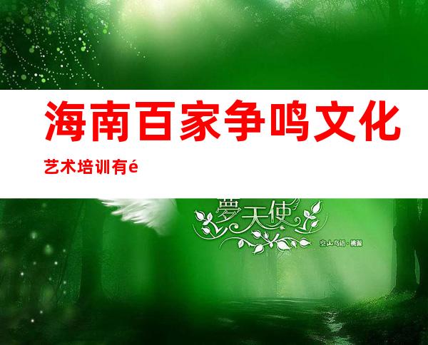 海南百家争鸣文化艺术培训有限公司