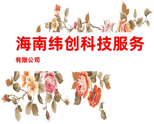 海南纬创科技服务有限公司