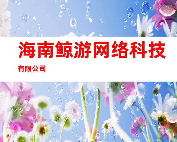 海南鲸游网络科技有限公司