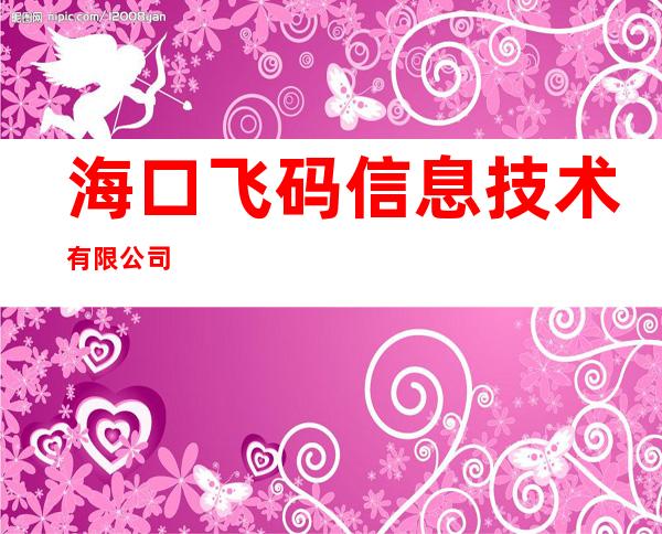 海口飞码信息技术有限公司