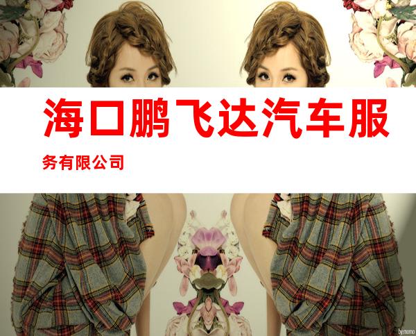 海口鹏飞达汽车服务有限公司