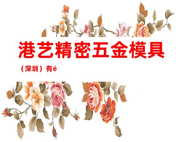 港艺精密五金模具(深圳)有限公司