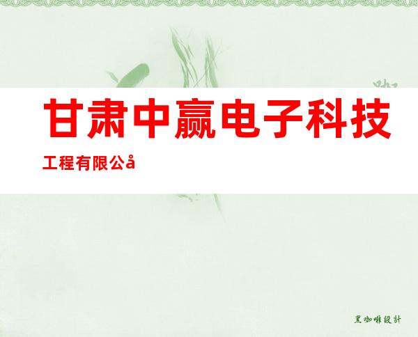 甘肃中赢电子科技工程有限公司