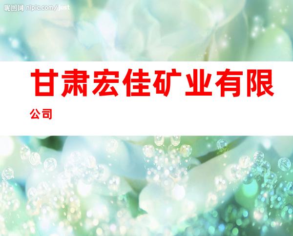 甘肃宏佳矿业有限公司