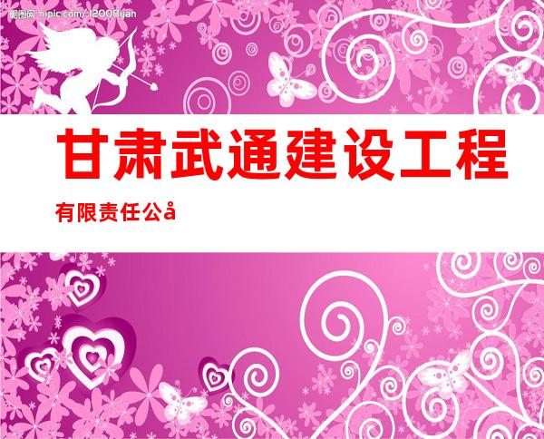 甘肃武通建设工程有限责任公司