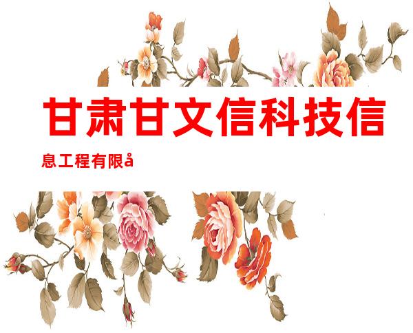 甘肃甘文信科技信息工程有限公司