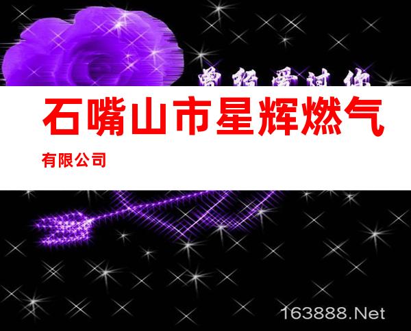 石嘴山市星辉燃气有限公司