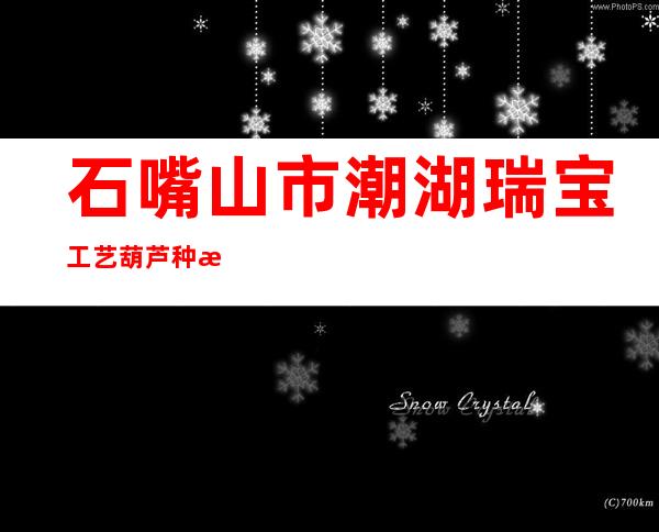 石嘴山市潮湖瑞宝工艺葫芦种植专业合作社