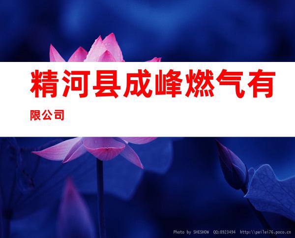 精河县成峰燃气有限公司
