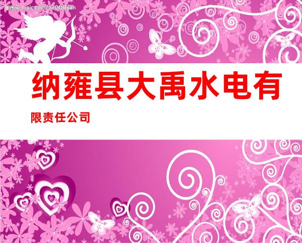 纳雍县大禹水电有限责任公司