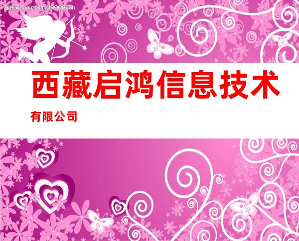 西藏启鸿信息技术有限公司