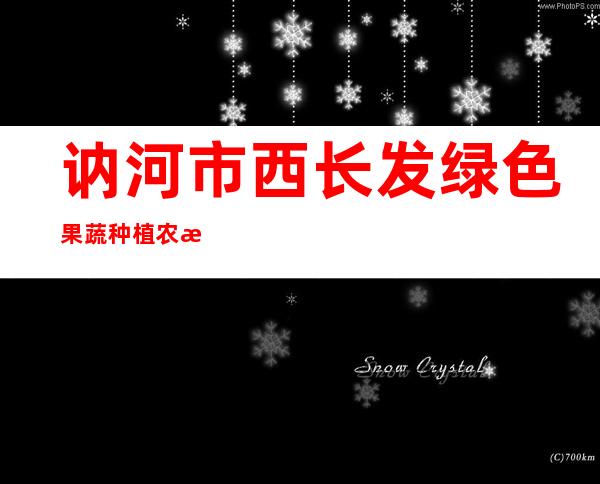 讷河市西长发绿色果蔬种植农民专业合作社