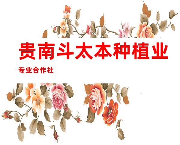 贵南斗太本种植业专业合作社