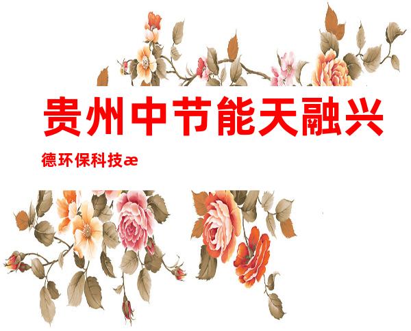 贵州中节能天融兴德环保科技有限公司