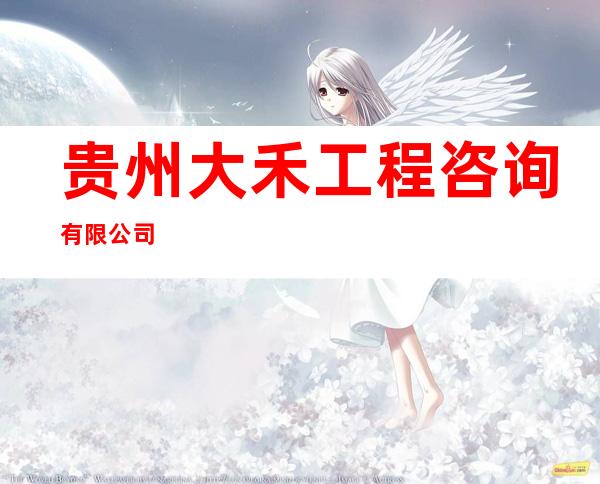 贵州大禾工程咨询有限公司