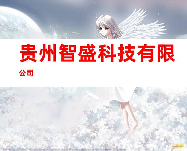 贵州智盛科技有限公司