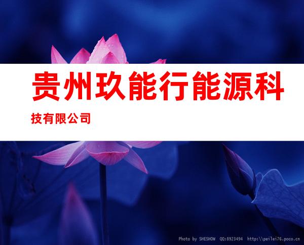 贵州玖能行能源科技有限公司