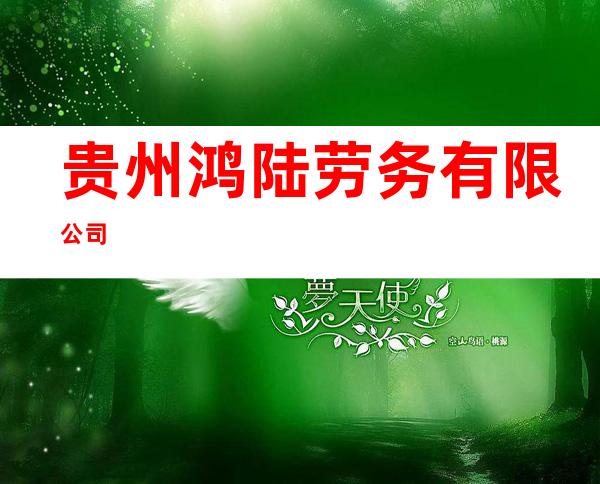 贵州鸿陆劳务有限公司