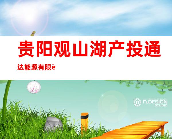 贵阳观山湖产投通达能源有限责任公司