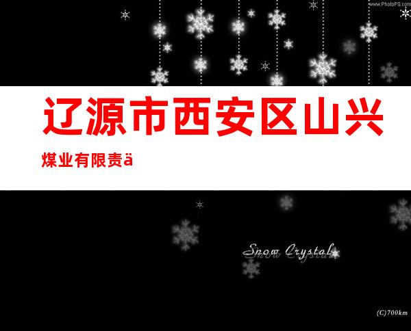 辽源市西安区山兴煤业有限责任公司