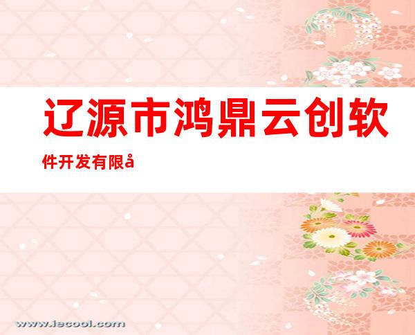 辽源市鸿鼎云创软件开发有限公司