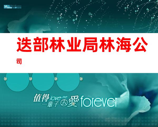 迭部林业局林海公司