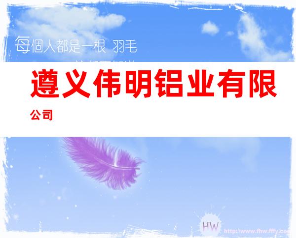 遵义伟明铝业有限公司