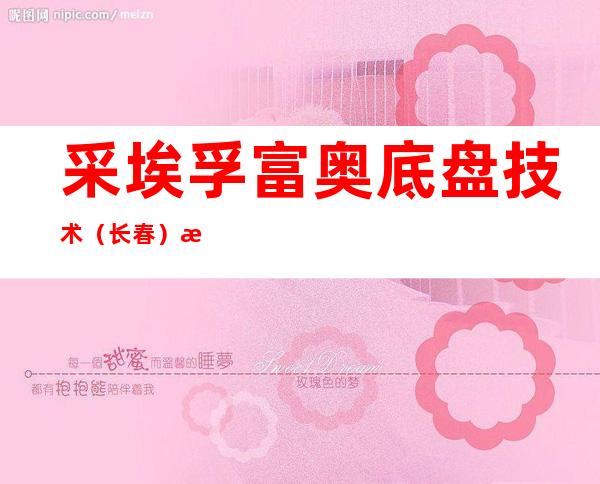 采埃孚富奥底盘技术（长春）有限公司