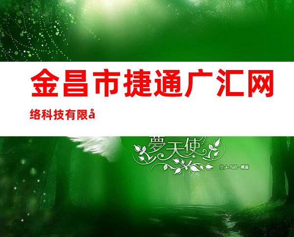 金昌市捷通广汇网络科技有限公司