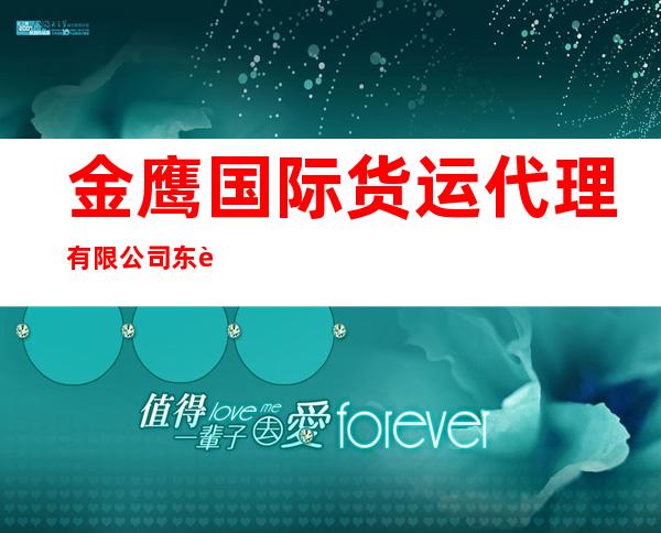 金鹰国际货运代理有限公司东莞分公司1